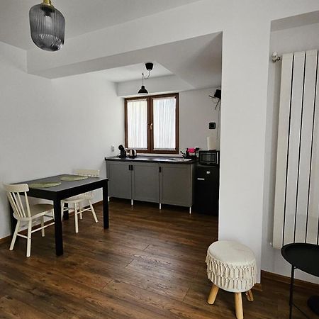 Old Town Apartament Apartment Targoviste Bagian luar foto